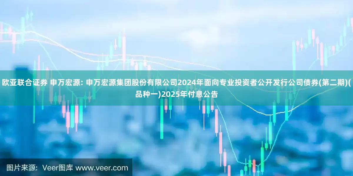欧亚联合证券 申万宏源: 申万宏源集团股份有限公司2024年面向专业投资者公开发行公司债券(第二期)(品种一)2025年付息公告